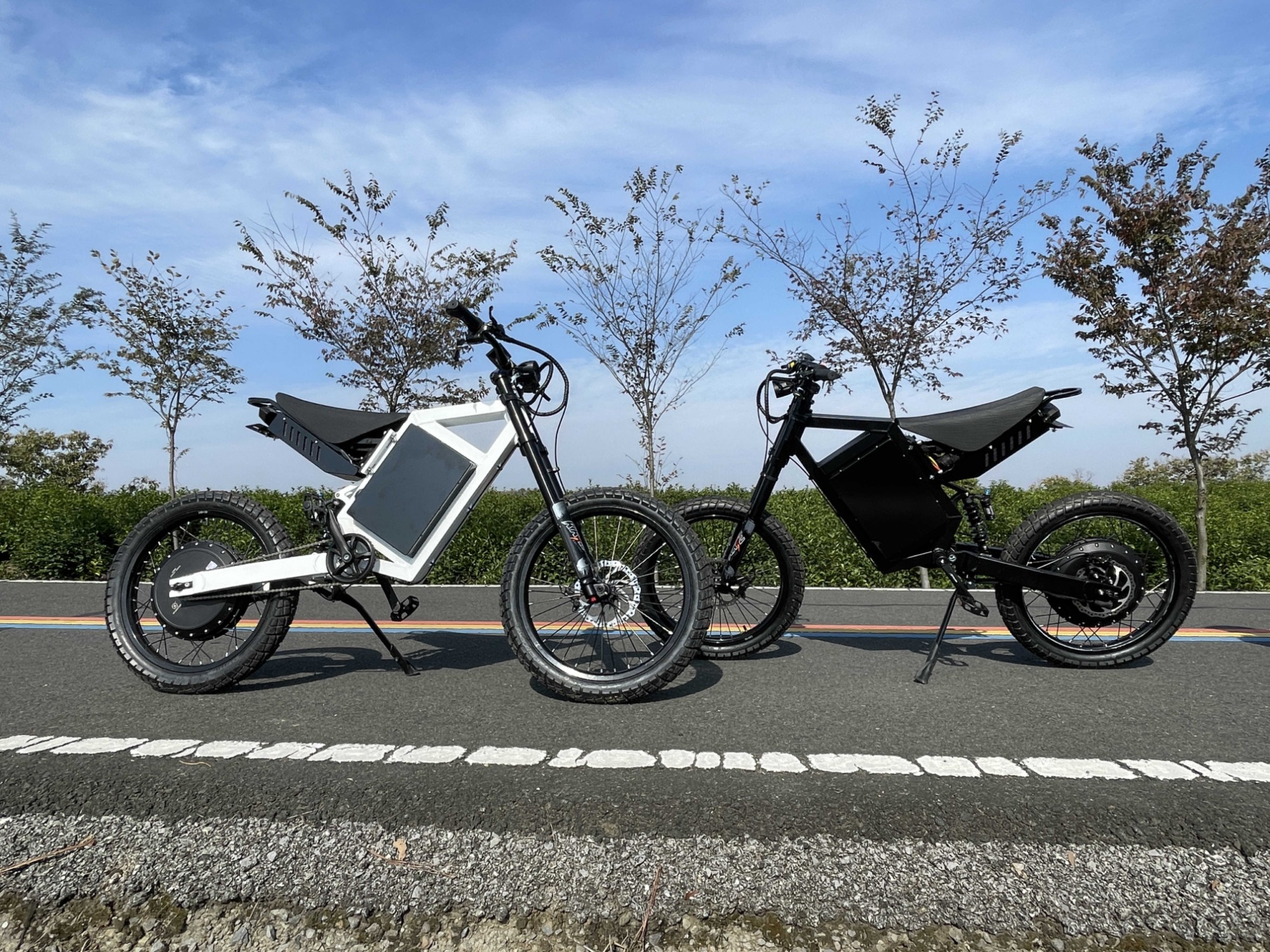 3000W 48V 29AH CS20 Mountain Dirt Bike Large Power Long Range E Bike