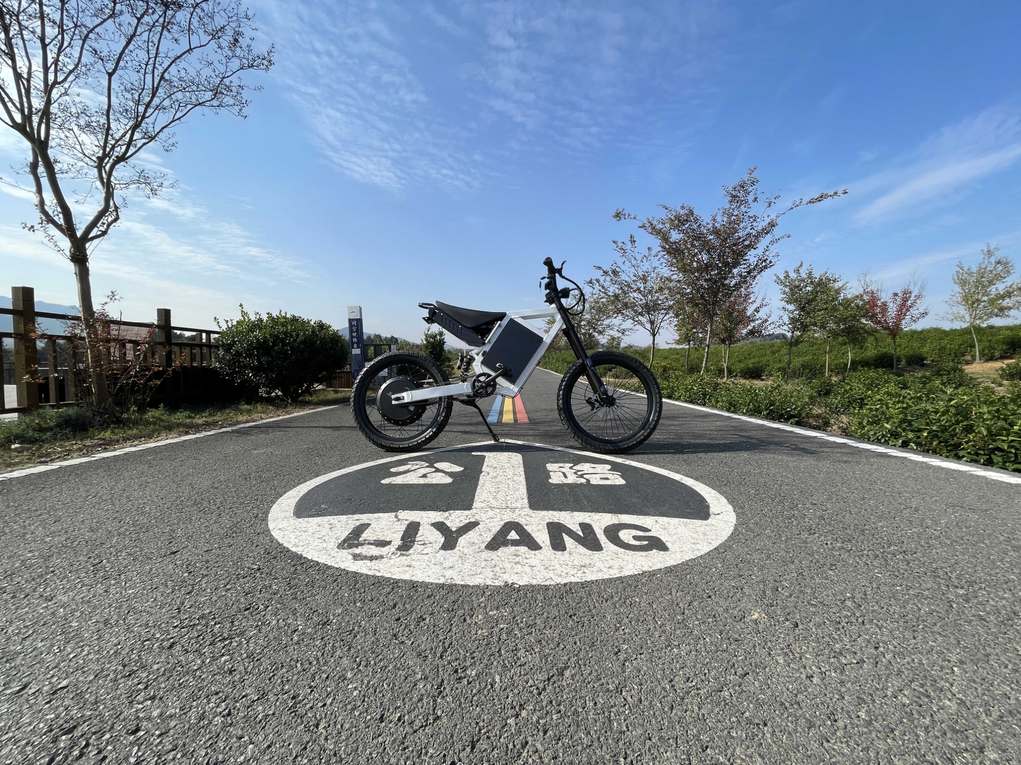 Full Suspension High Power City Road Off Bike Long Range Stable Structure Ebike